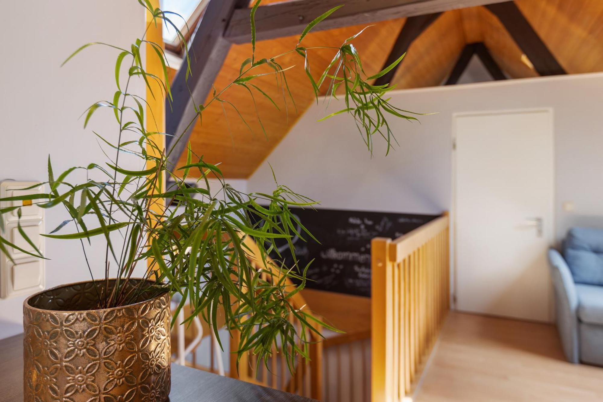 Ferienwohnung An Der Brigach Donaueschingen Luaran gambar
